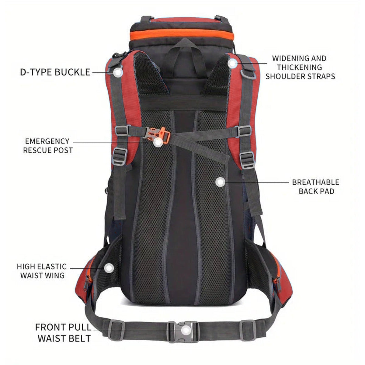 70L Hiking Backpack with Hip Belt and Shoe Compartment - back panel and harness