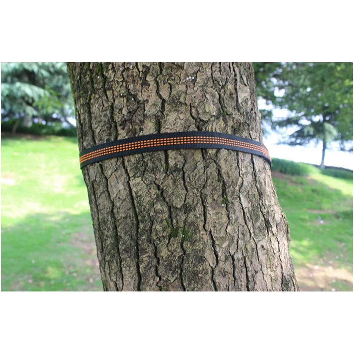 ULTRA Hammock Tree Straps - strap wrapped around a tree
