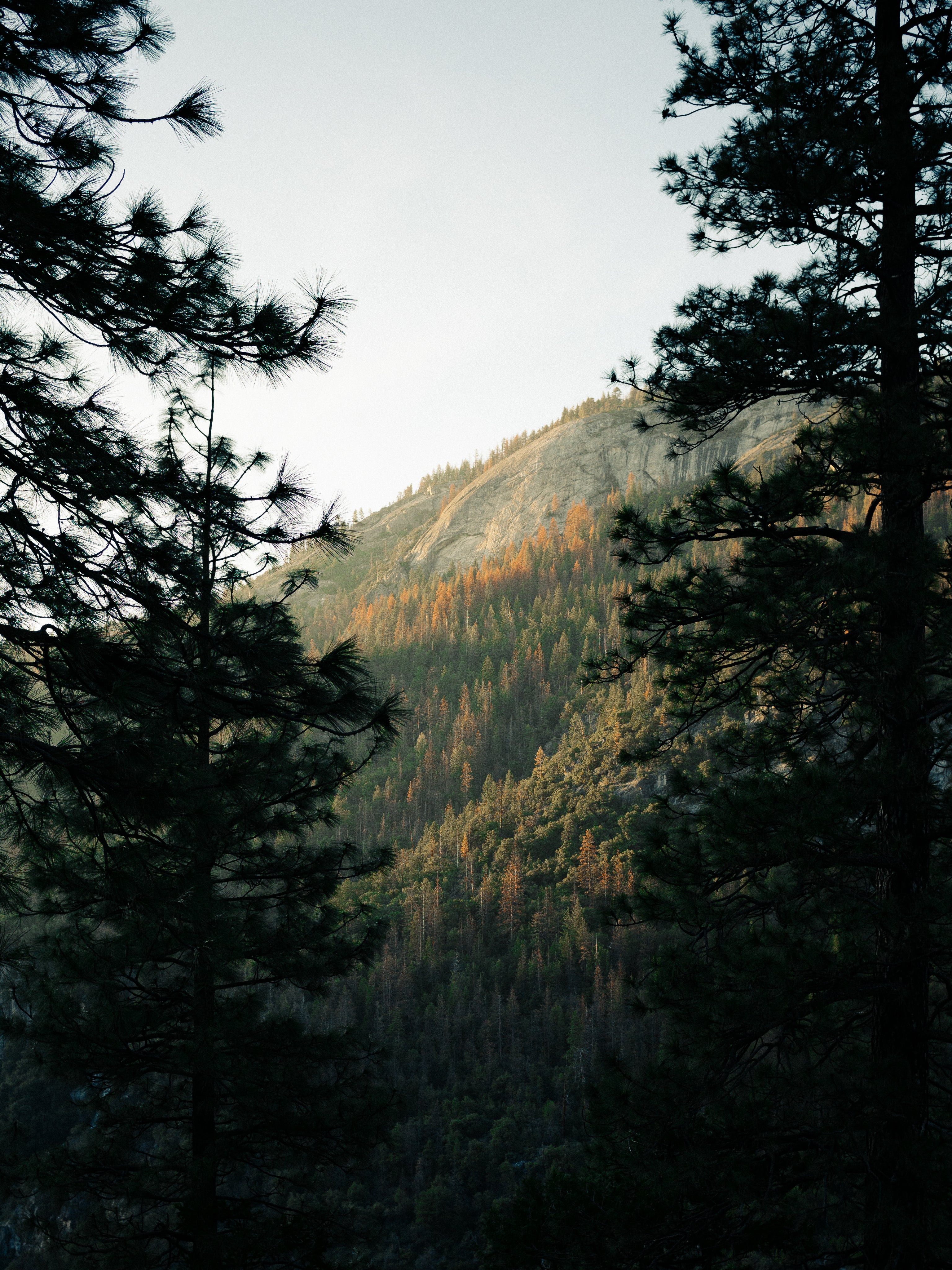 "Backpacking gear", "camping gear", tents, hammocks, "solar chargers", "cycling gear", "hiking gear"