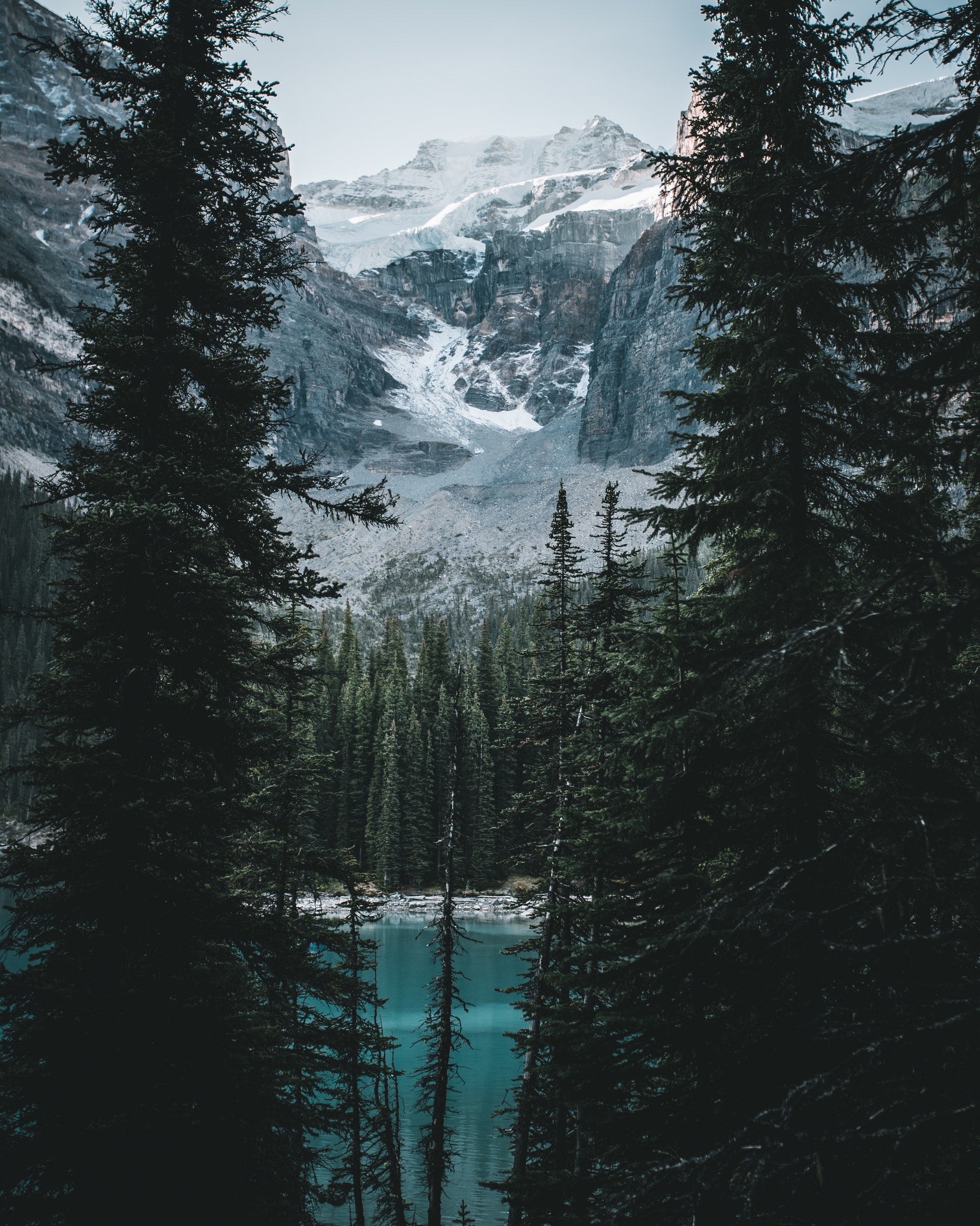 "Backpacking gear", "camping gear", tents, hammocks, "solar chargers", "cycling gear", "hiking gear"